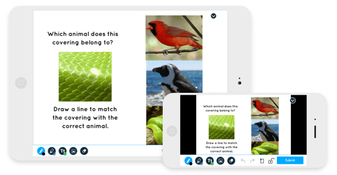 Nearpod Learning platform. Screenshot of a book with animals where kids have to draw a line to match the animal to the picture presented.